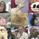 Image for article titled Attack Of The Cat People: On The Scene At The CFA-IAMS Cat Championship